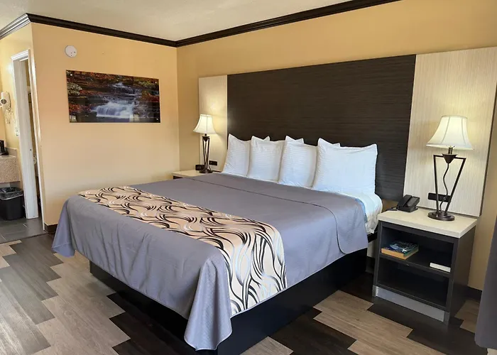 Regency 7 Motel